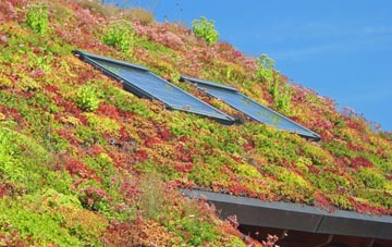 Whittlesford living roof systems