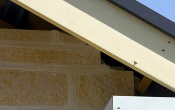 soffit repair Whittlesford